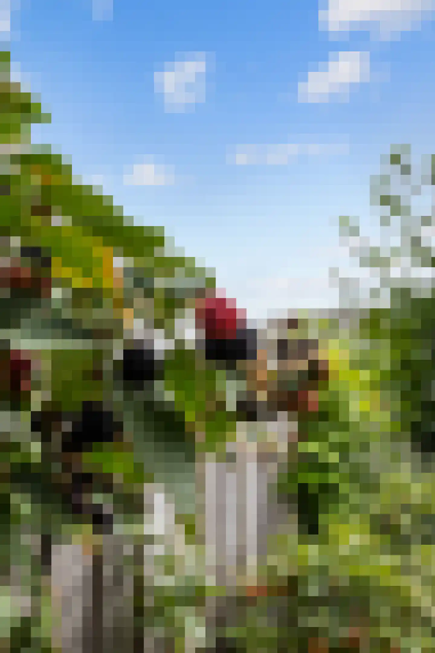 Fuut 25 Bedum thumbnail 29