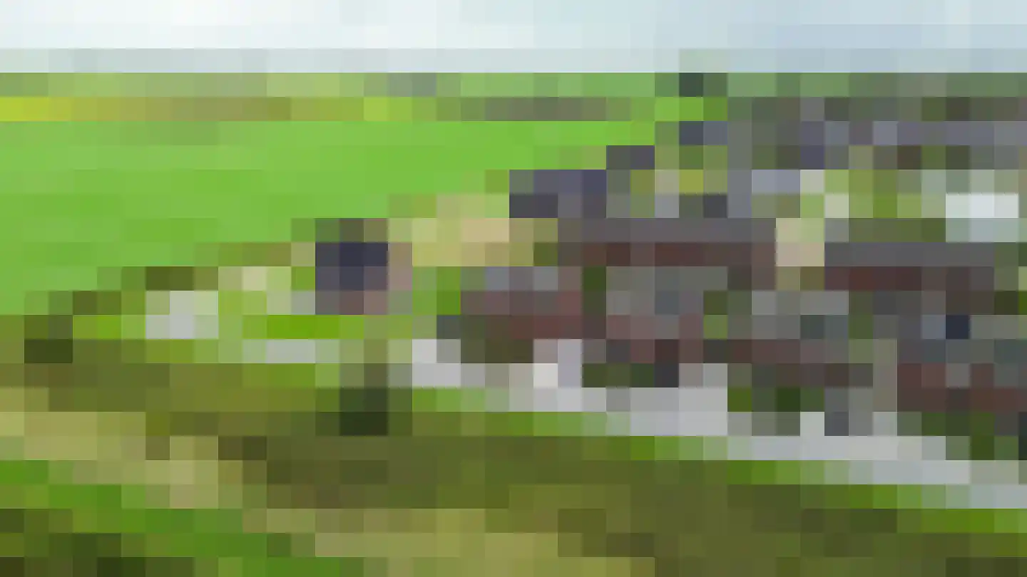 Fuut 25 Bedum foto 3