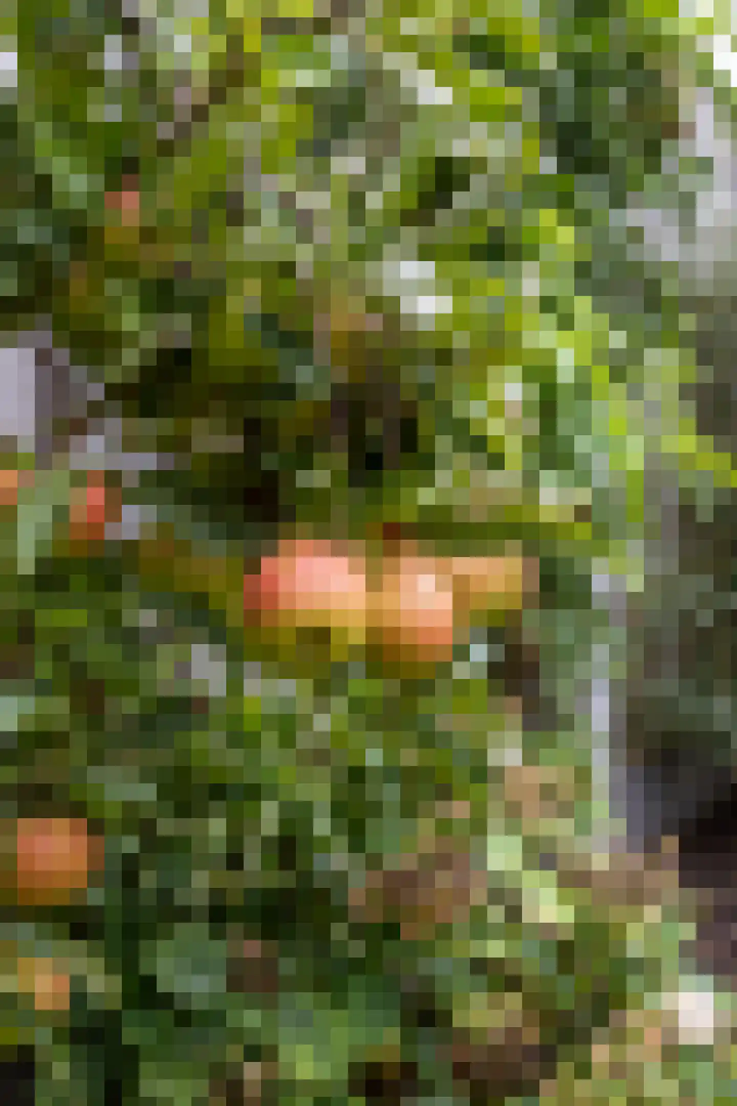 Fuut 25 Bedum thumbnail 30