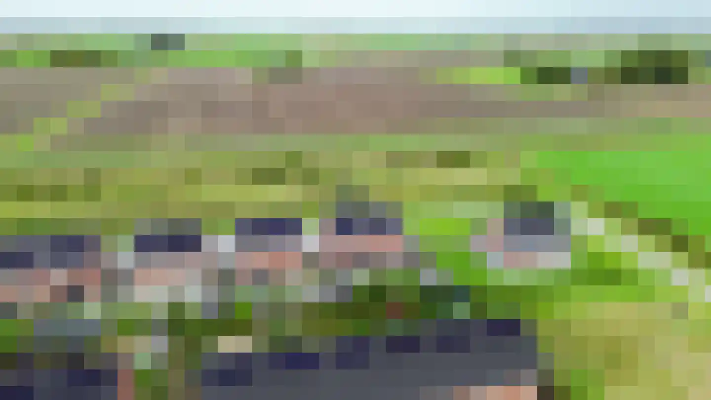 Fuut 25 Bedum thumbnail 4