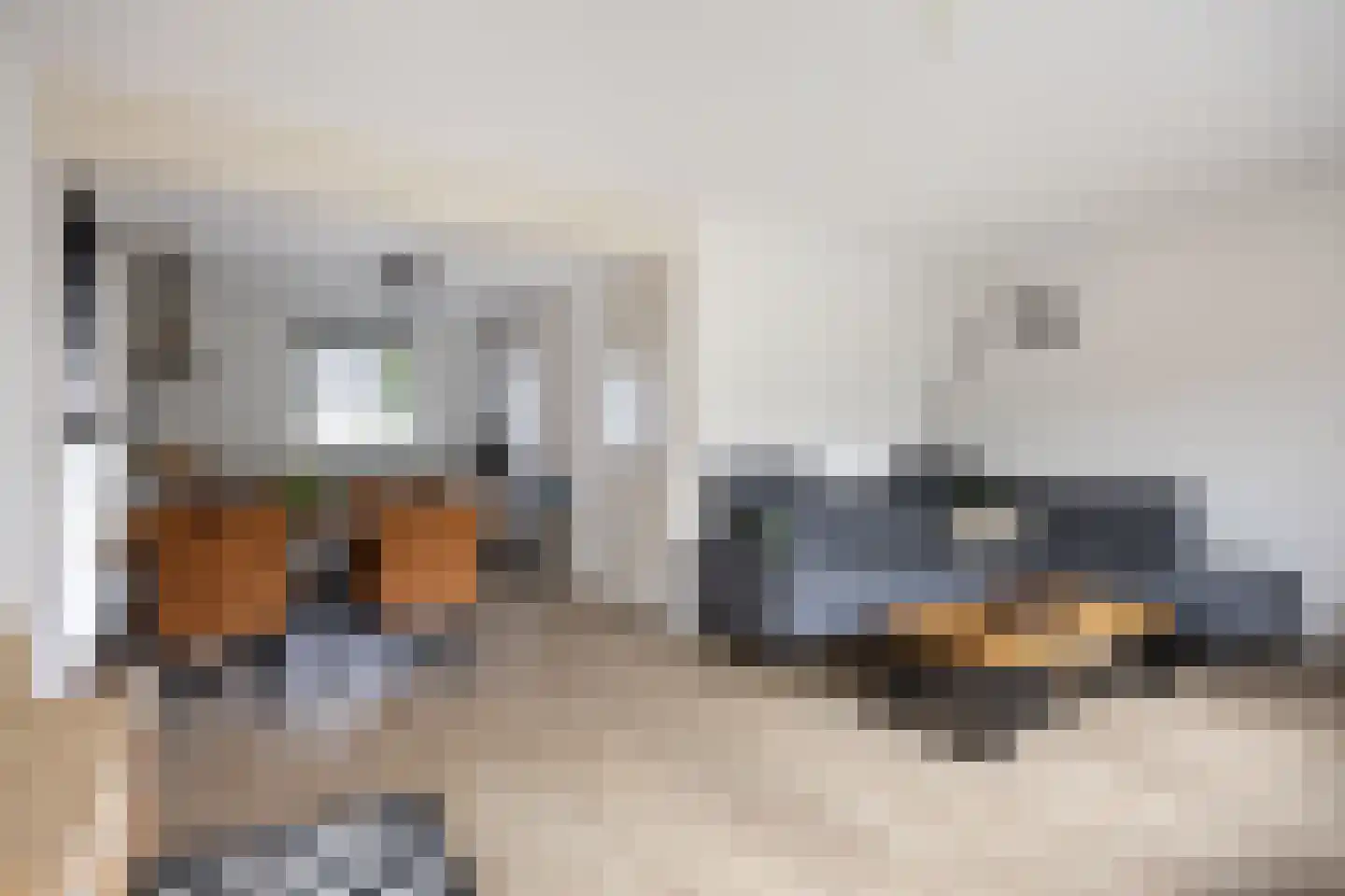 Fuut 25 Bedum thumbnail 9