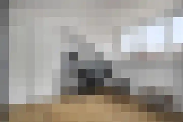 Fuut 31 Bergen op Zoom thumbnail 19