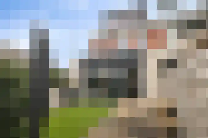 Fuut 31 Bergen op Zoom thumbnail 20