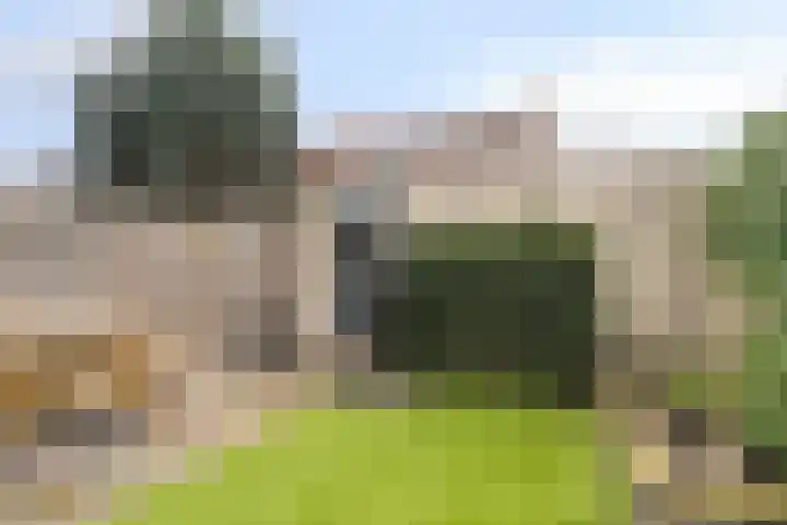 Fuut 31 Bergen op Zoom thumbnail 21