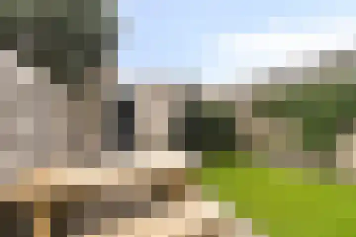 Fuut 31 Bergen op Zoom thumbnail 22