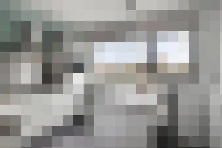 Fuut 31 Bergen op Zoom thumbnail 6
