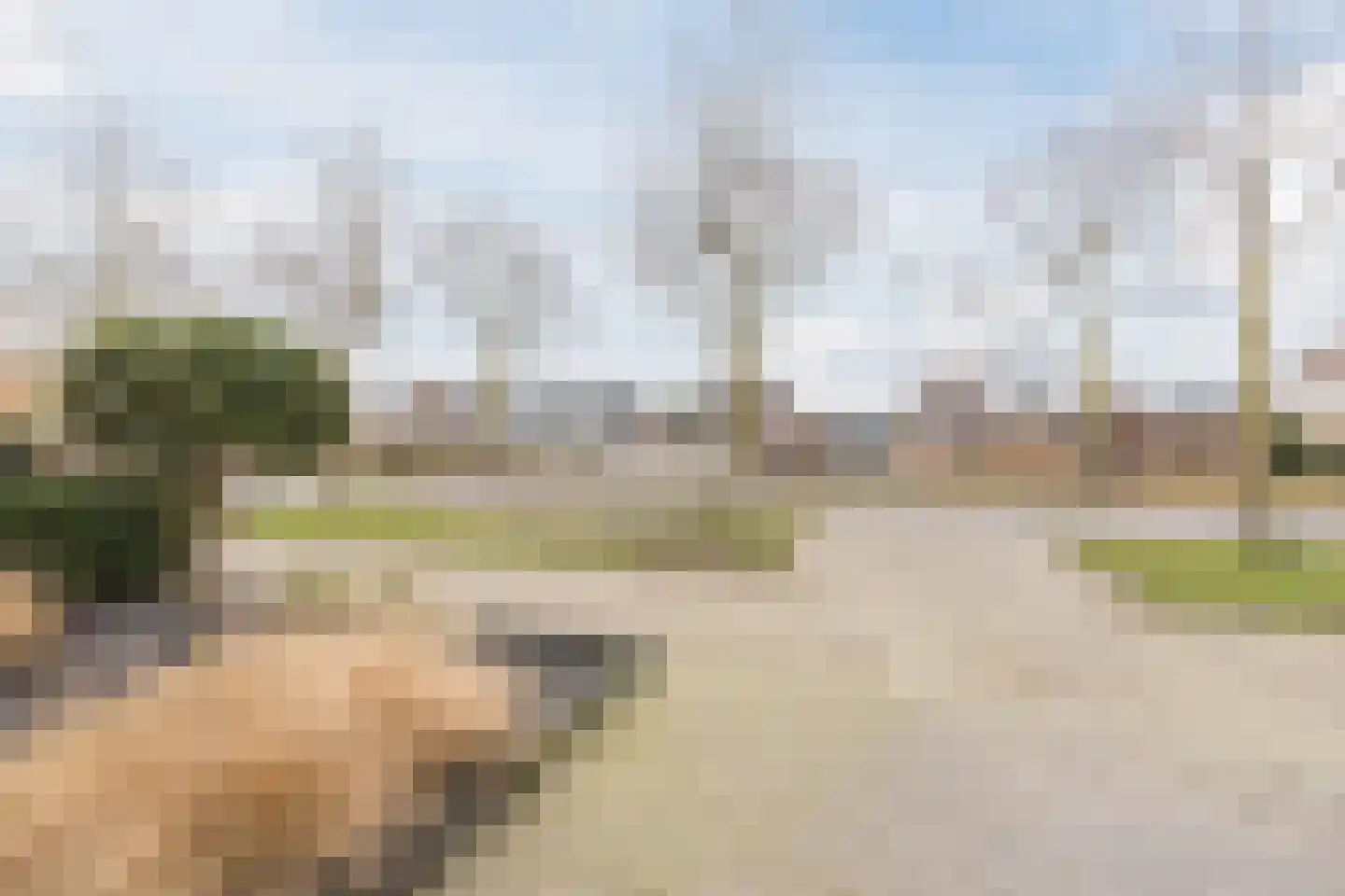 Fuut 33 Bergen op Zoom thumbnail 10