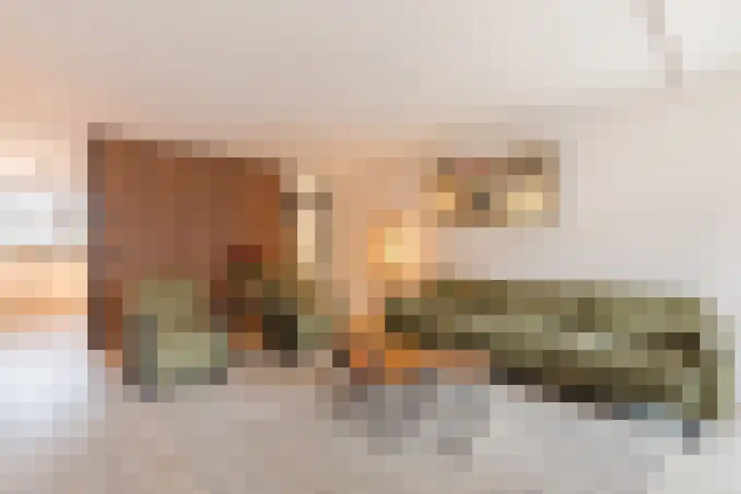 Fuut 33 Bergen op Zoom thumbnail 12