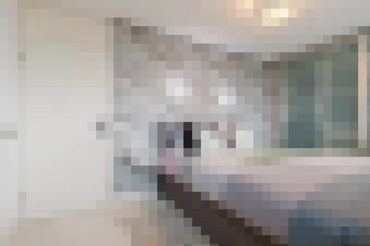 Fuut 33 Bergen op Zoom thumbnail 29