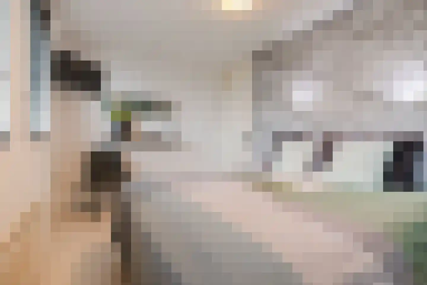 Fuut 33 Bergen op Zoom thumbnail 30