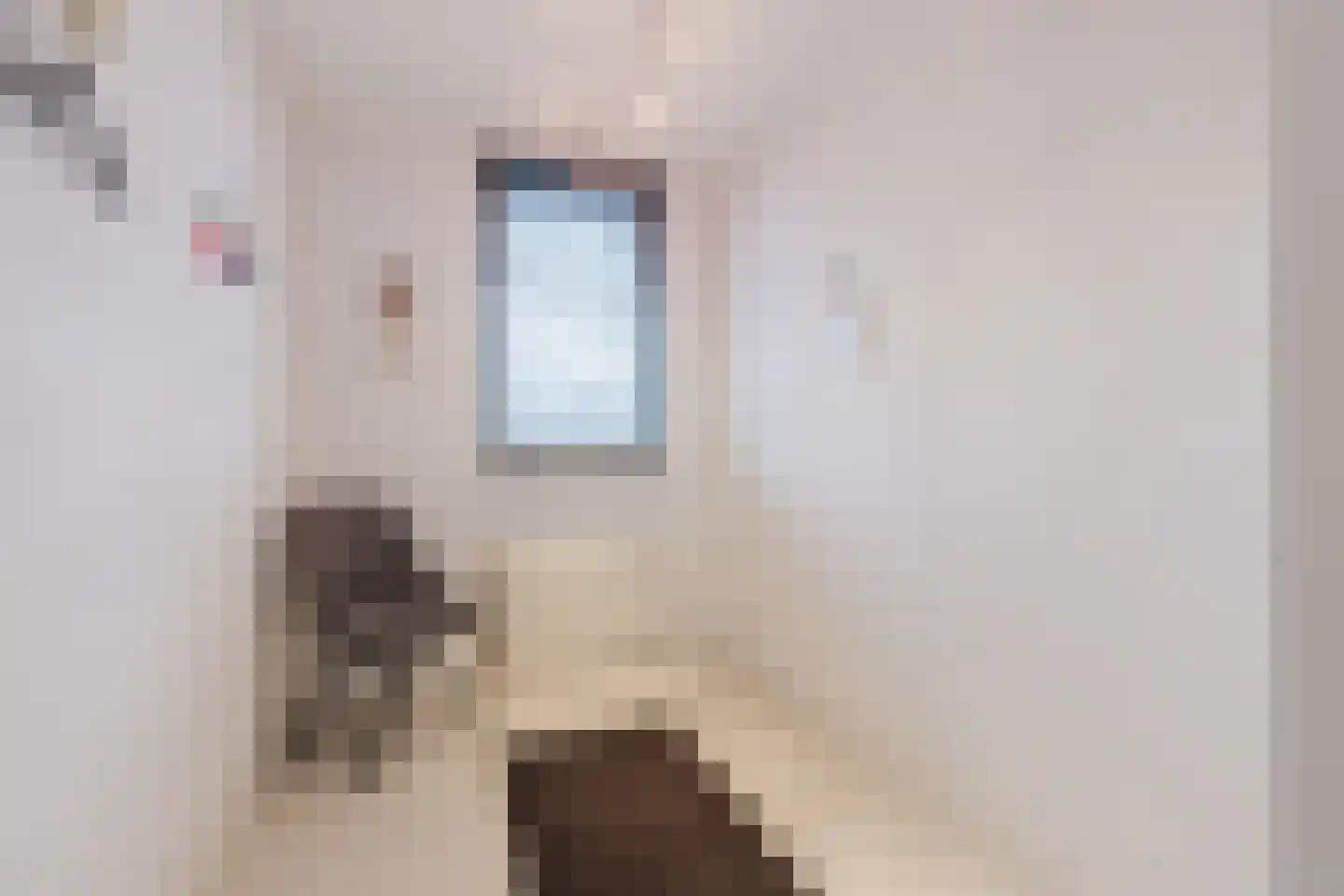 Fuut 33 Bergen op Zoom thumbnail 33