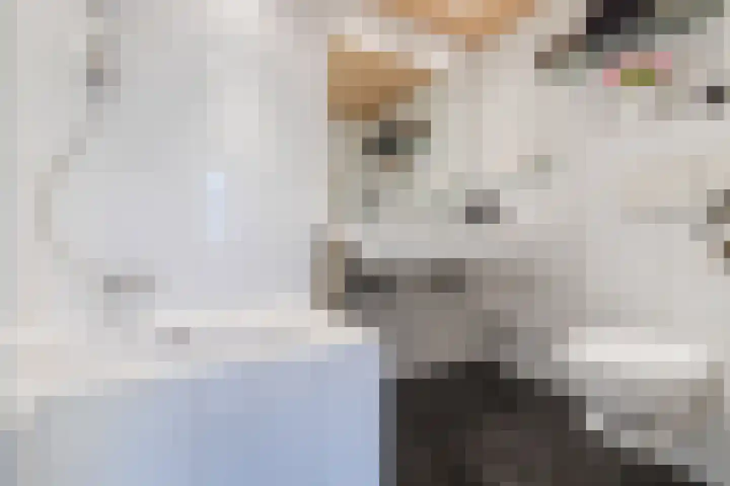 Fuut 33 Bergen op Zoom thumbnail 35