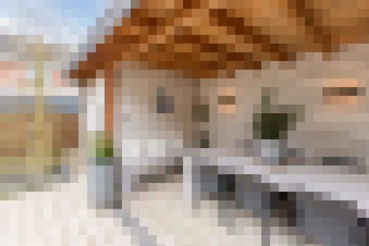 Fuut 33 Bergen op Zoom thumbnail 49