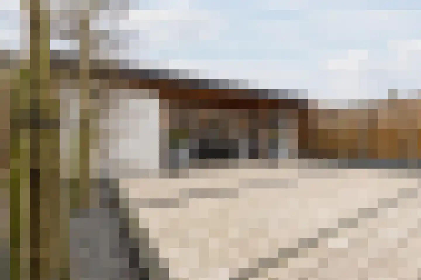 Fuut 33 Bergen op Zoom thumbnail 5