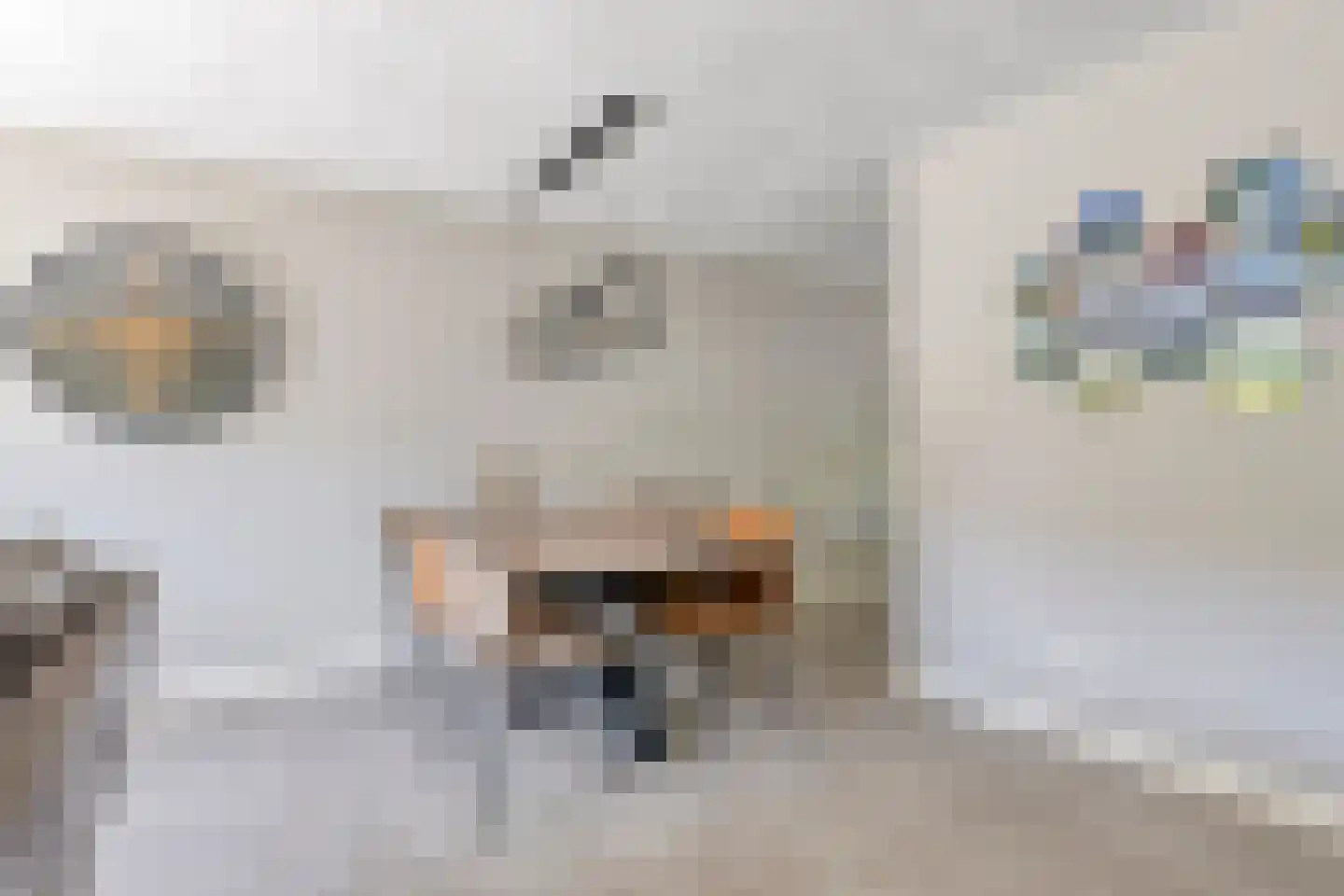 Fuut 37 Bergen op Zoom thumbnail 12