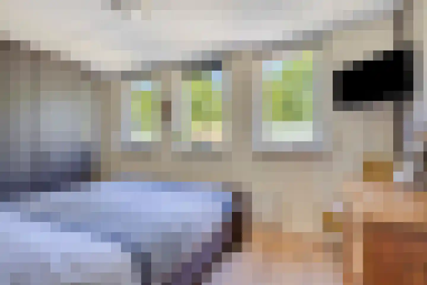 Fuut 37 Bergen op Zoom thumbnail 19