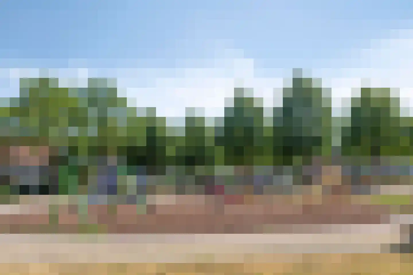 Fuut 37 Bergen op Zoom thumbnail 37
