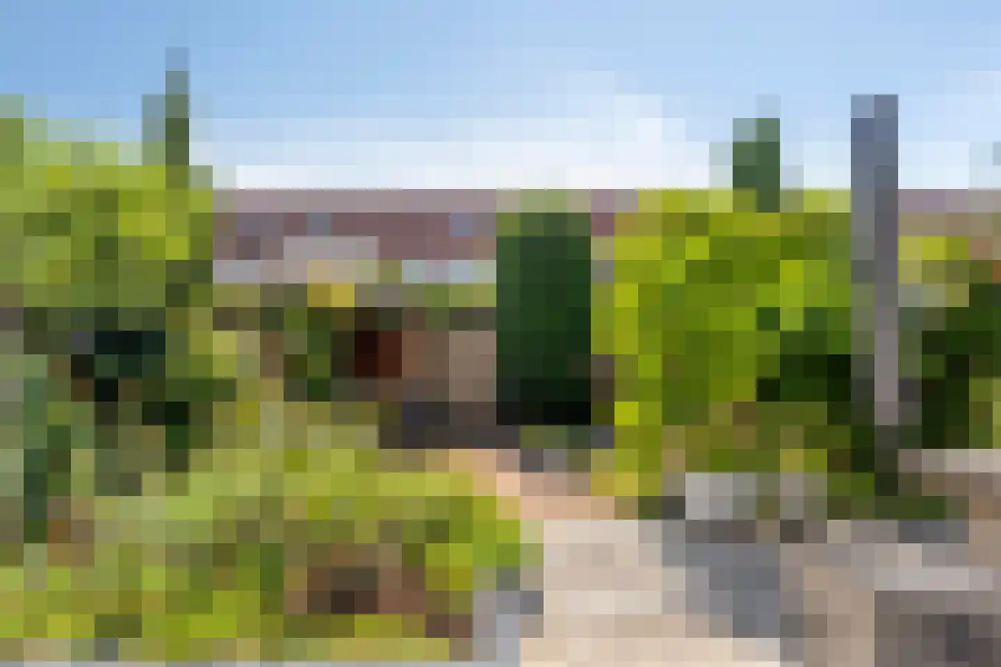 Fuut 37 Bergen op Zoom thumbnail 4