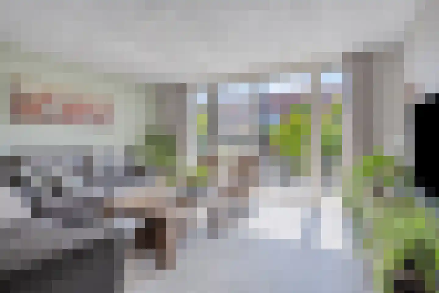 Fuut 37 Bergen op Zoom thumbnail 9