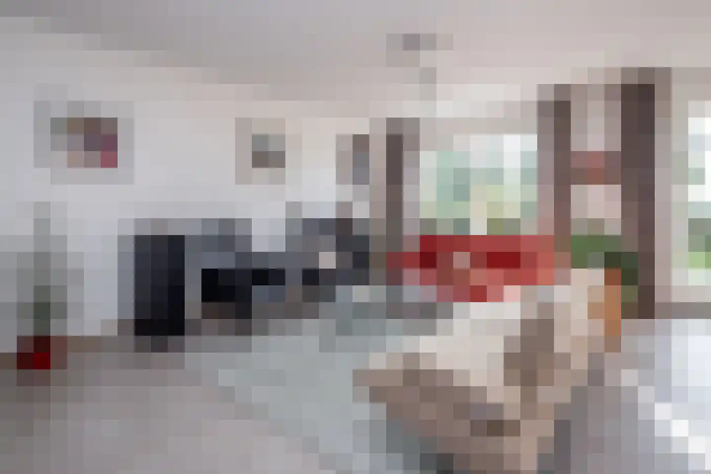 Fuut 5 Hoogkarspel thumbnail 11