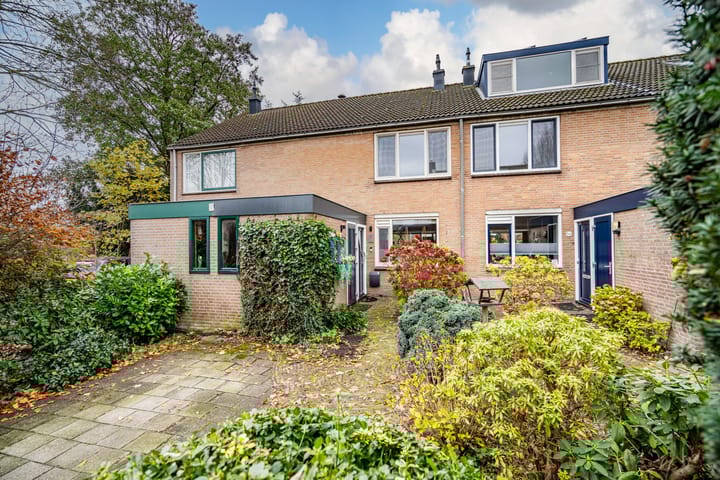 Fuut 56 in Zoeterwoude photo