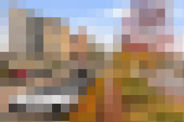 Fuut 56 Zoeterwoude thumbnail 15