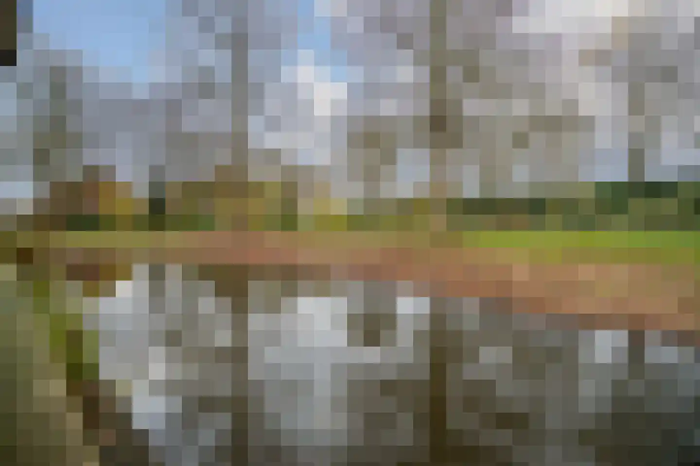 Fuut 56 Zoeterwoude thumbnail 22
