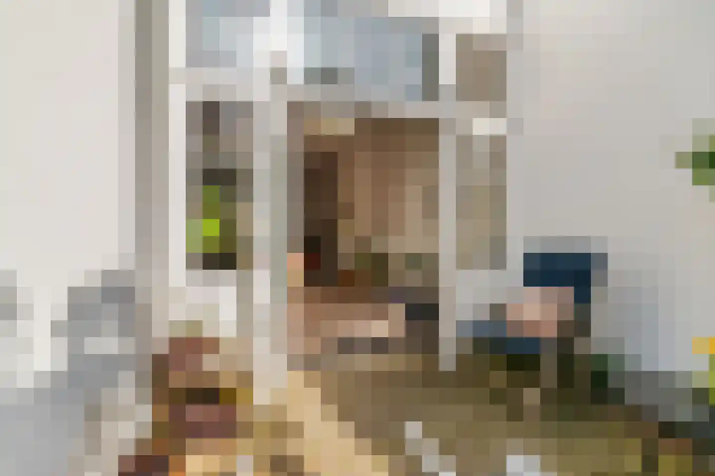 Fuut 56 Zoeterwoude thumbnail 31