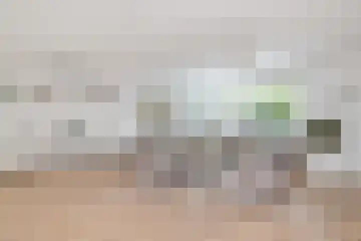 Fuut 56 Zoeterwoude thumbnail 32