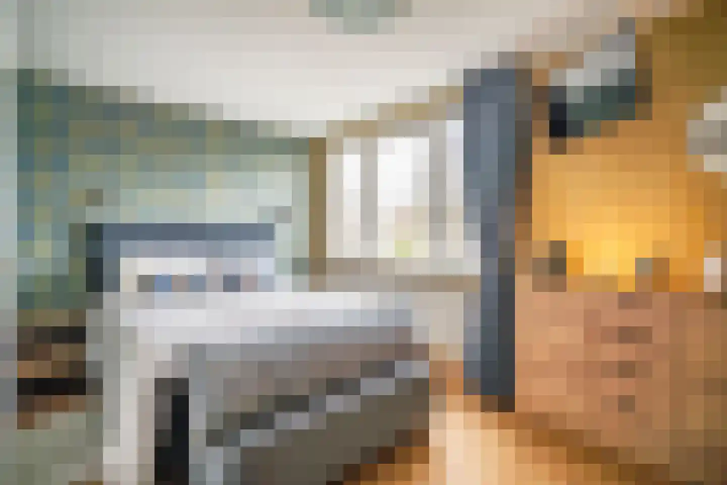 Fuut 56 Zoeterwoude thumbnail 34