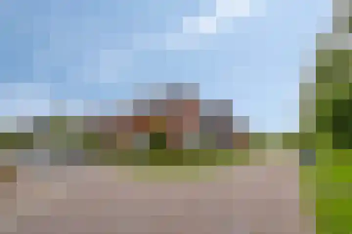 Fuut 56 Zoeterwoude thumbnail 35