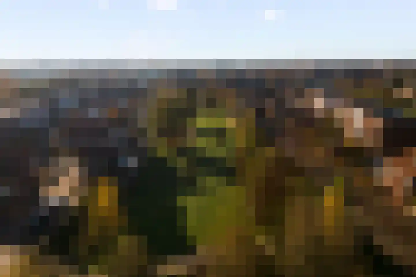 Fuut 56 Zoeterwoude thumbnail 37