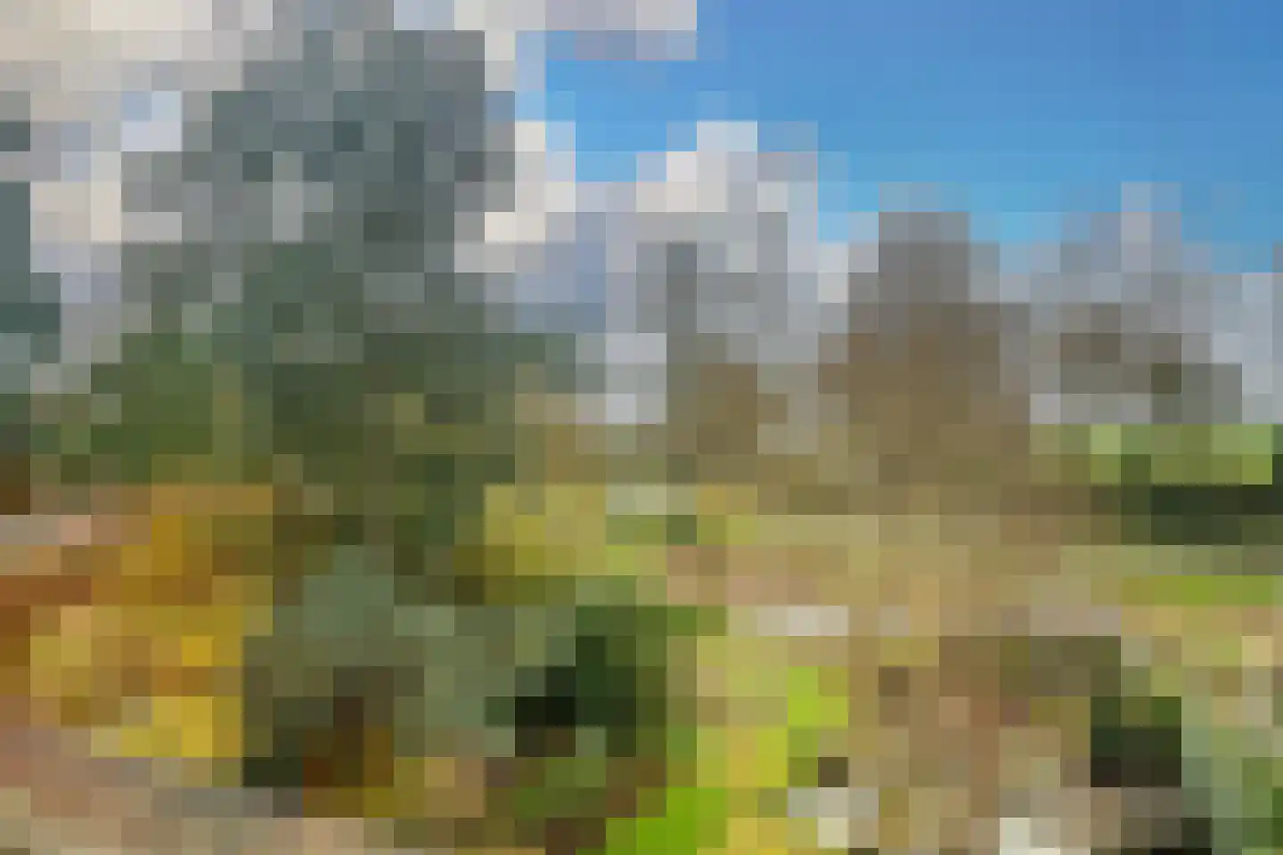 Fuut 56 Zoeterwoude thumbnail 52