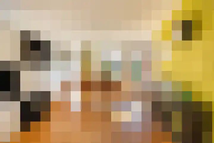 Fuut 56 Zoeterwoude thumbnail 8