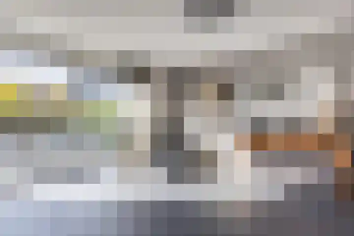 Fuut 69 Bergen op Zoom thumbnail 20