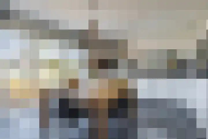 Fuut 69 Bergen op Zoom thumbnail 24
