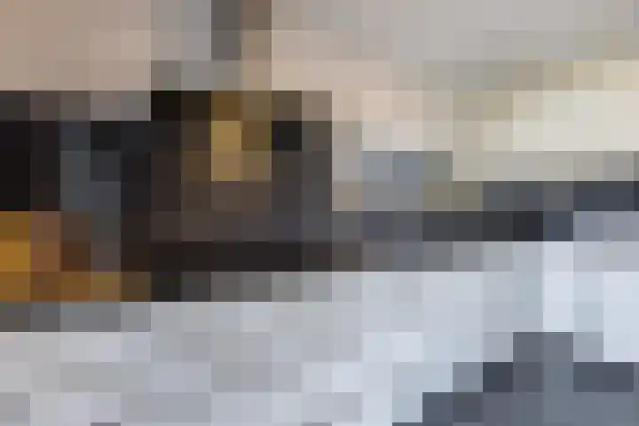 Fuut 69 Bergen op Zoom thumbnail 25