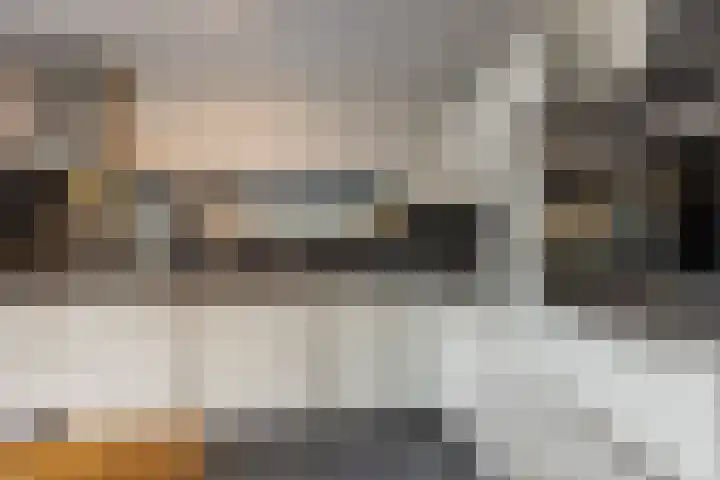 Fuut 69 Bergen op Zoom thumbnail 28