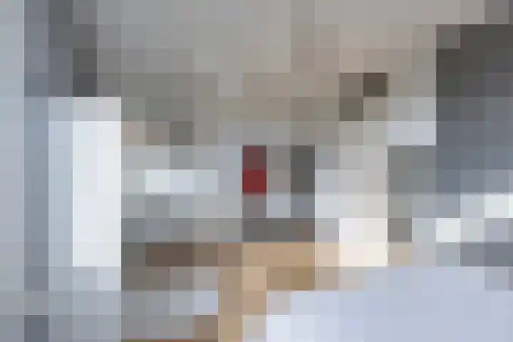 Fuut 69 Bergen op Zoom thumbnail 34