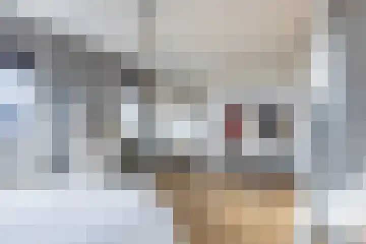 Fuut 69 Bergen op Zoom thumbnail 35