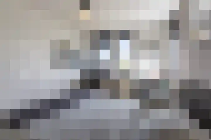 Fuut 69 Bergen op Zoom thumbnail 36