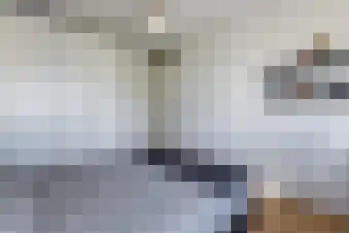 Fuut 69 Bergen op Zoom thumbnail 37