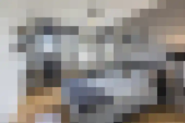 Fuut 69 Bergen op Zoom thumbnail 4