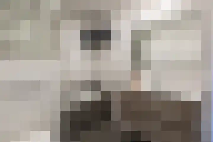 Fuut 69 Bergen op Zoom thumbnail 44