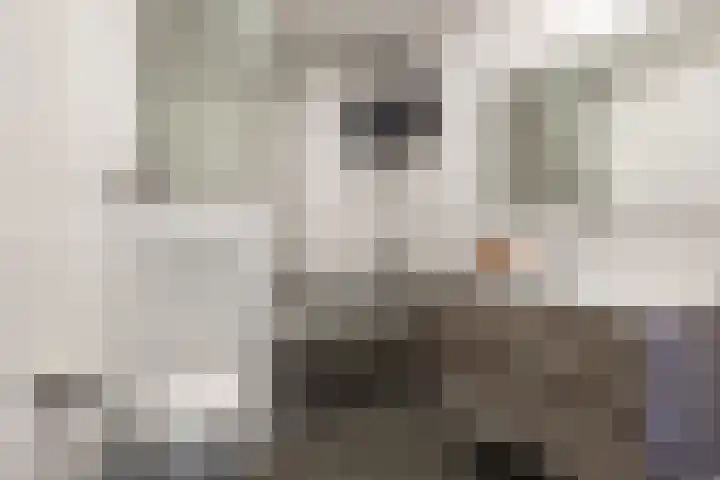 Fuut 69 Bergen op Zoom thumbnail 45