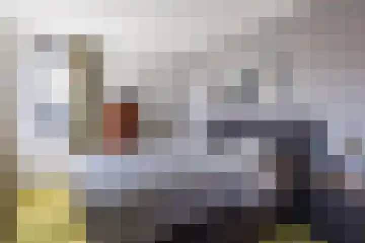 Fuut 69 Bergen op Zoom thumbnail 50
