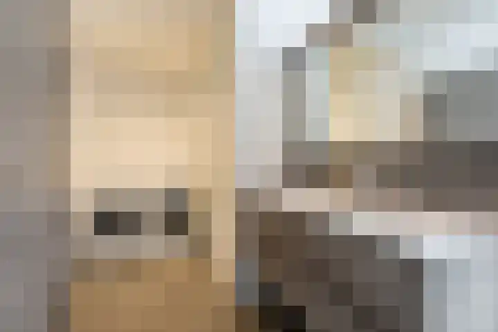 Fuut 69 Bergen op Zoom thumbnail 54