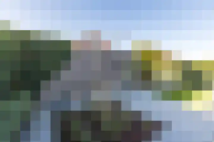 Fuut 69 Bergen op Zoom thumbnail 59