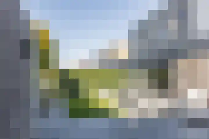 Fuut 69 Bergen op Zoom thumbnail 60