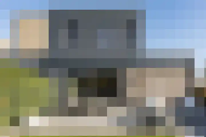 Fuut 69 Bergen op Zoom thumbnail 62